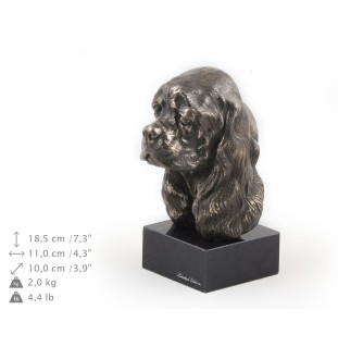 Cocker spaniel amerykański głowa na kamieniu Art-Dog